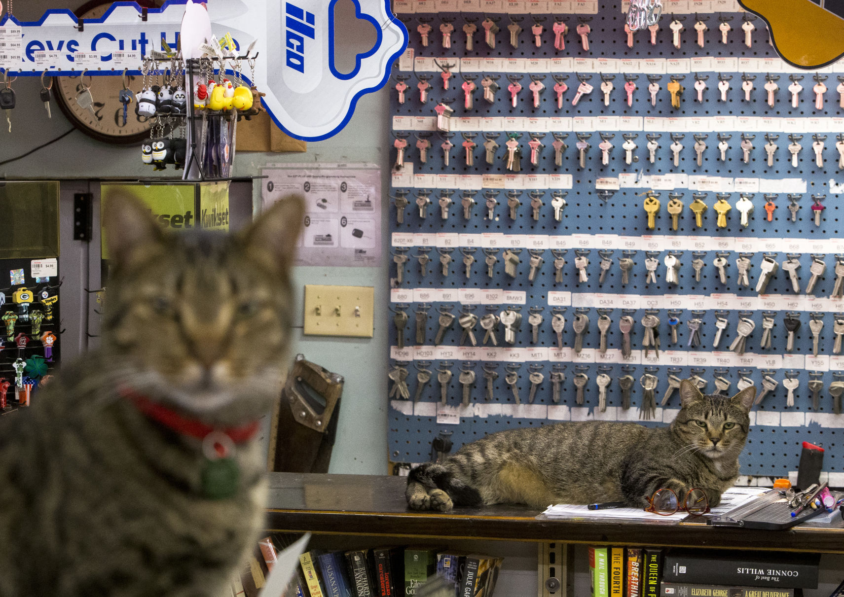 True Value Hardware Store02.JPG